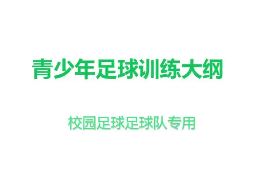 青少年足球训练大纲校园足球专用