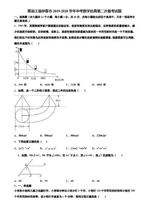 黑龙江省伊春市2019-2020学年中考数学仿真第二次备考试题含解析
