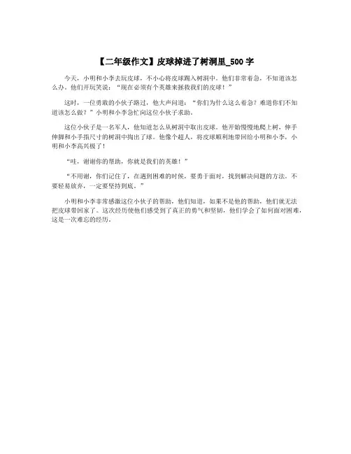 【二年级作文】皮球掉进了树洞里_500字