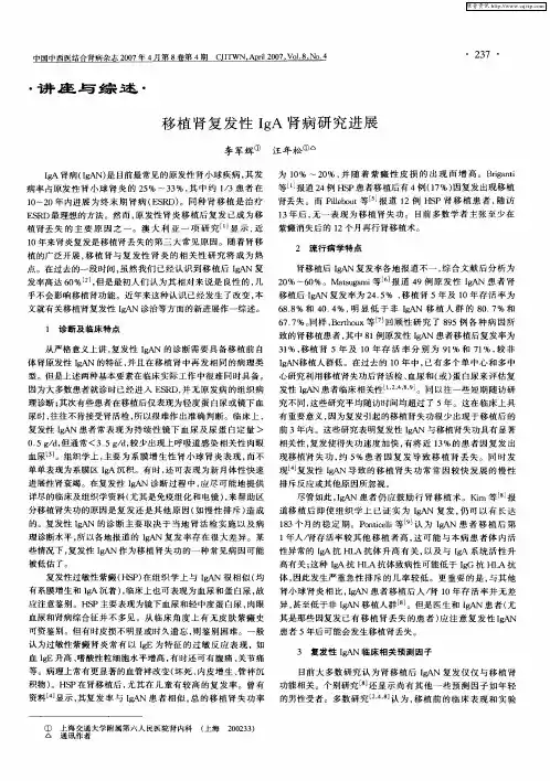 移植肾复发性IgA肾病研究进展