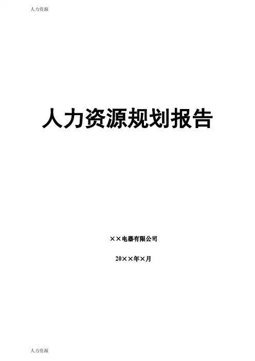 【人力资源】XX电器公司HR规划报告精编版