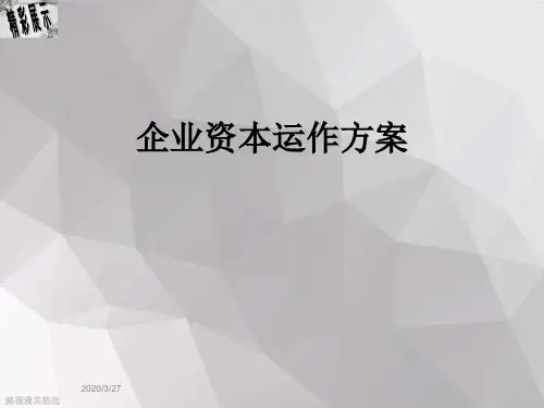 企业资本运作方案