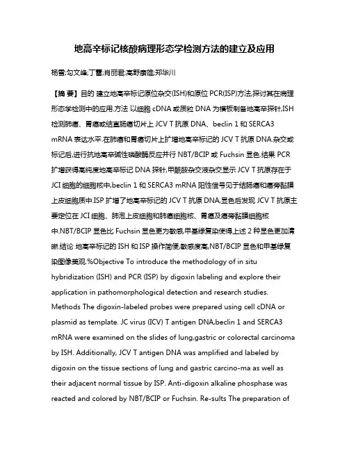 地高辛标记核酸病理形态学检测方法的建立及应用