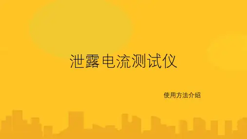 泄露电流测试仪器PPT资料优秀版