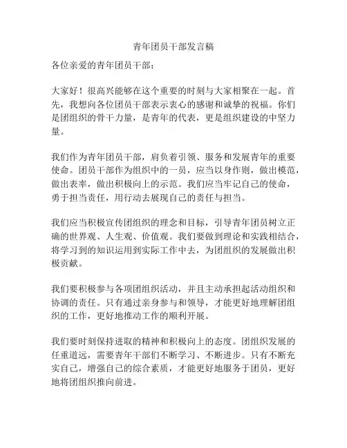 青年团员干部发言稿