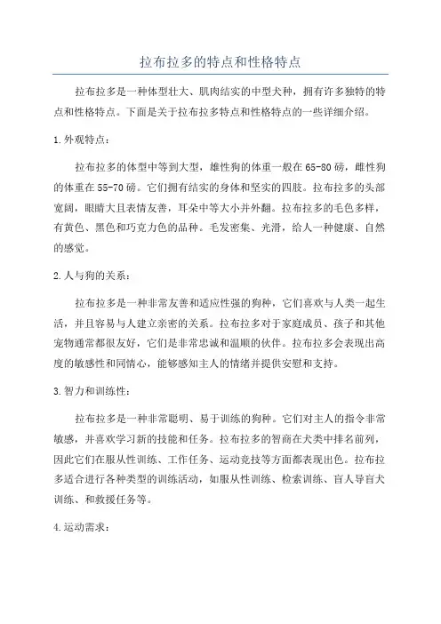 拉布拉多的特点和性格特点