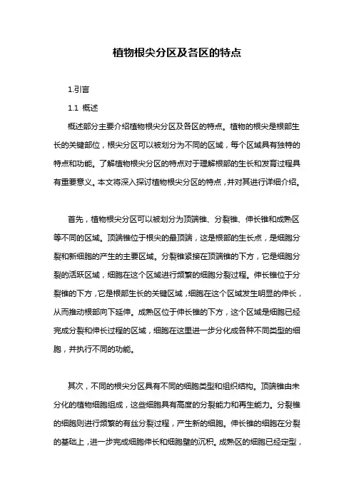 植物根尖分区及各区的特点