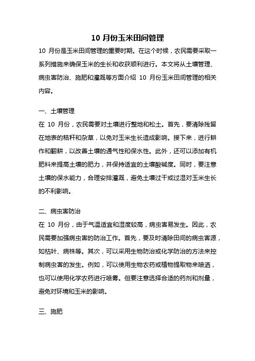 10月份玉米田间管理
