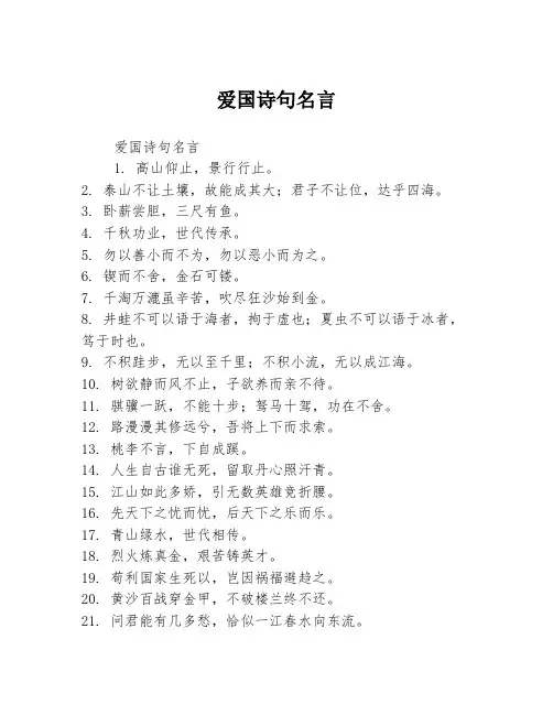 爱国诗句名言