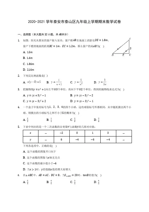 2020-2021学年泰安市泰山区九年级上学期期末数学试卷(含答案解析)