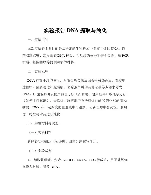实验报告DNA提取与纯化
