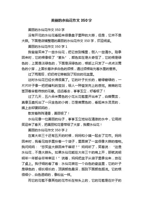 美丽的水仙花作文350字