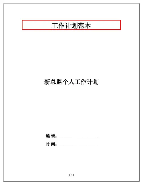 新总监个人工作计划