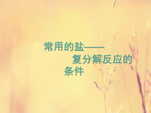 复分解反应发生的条件PPT教学课件