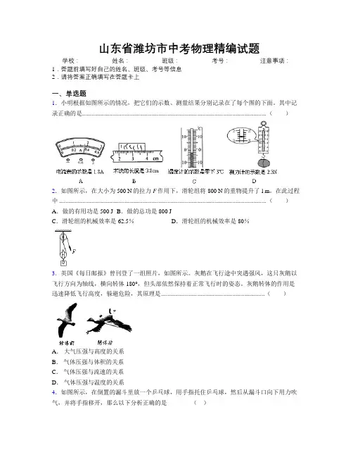 最新山东省潍坊市中考物理精编试题及解析