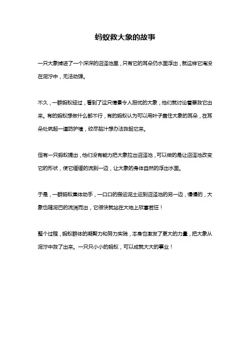 蚂蚁救大象的故事