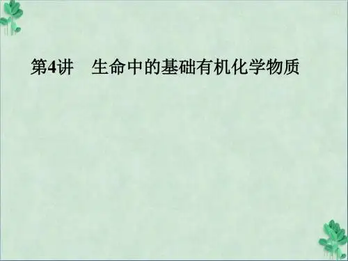 《生命中的基础有机化学物质》课件4