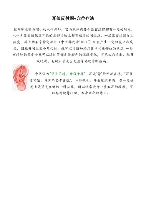 耳部穴位反射图