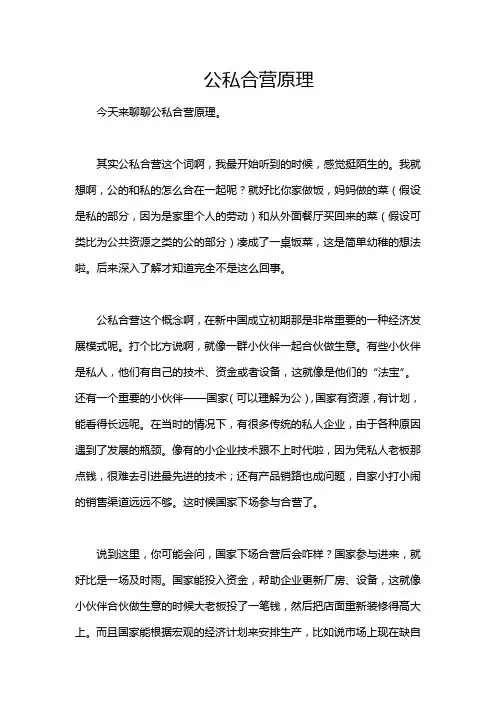 公私合营原理