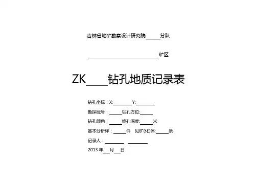 钻孔编录封面