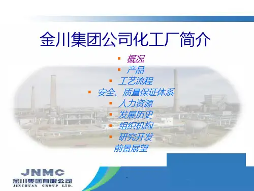 化工厂简介PPT课件