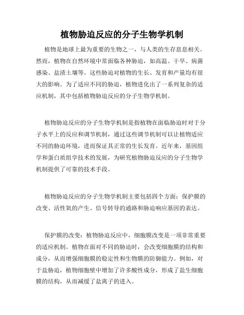 植物胁迫反应的分子生物学机制