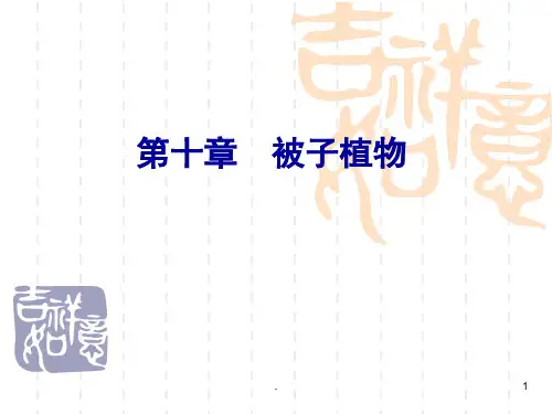 被子植物科属特征PPT课件