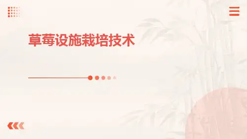草莓设施栽培技术