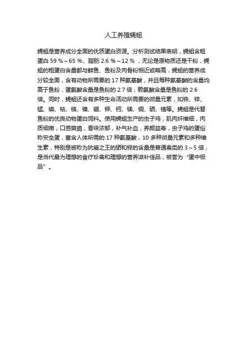 人工养殖蝇蛆
