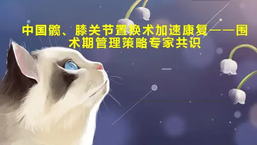 中国髋、膝关节置换术加速康复围术期管理策略专家共识