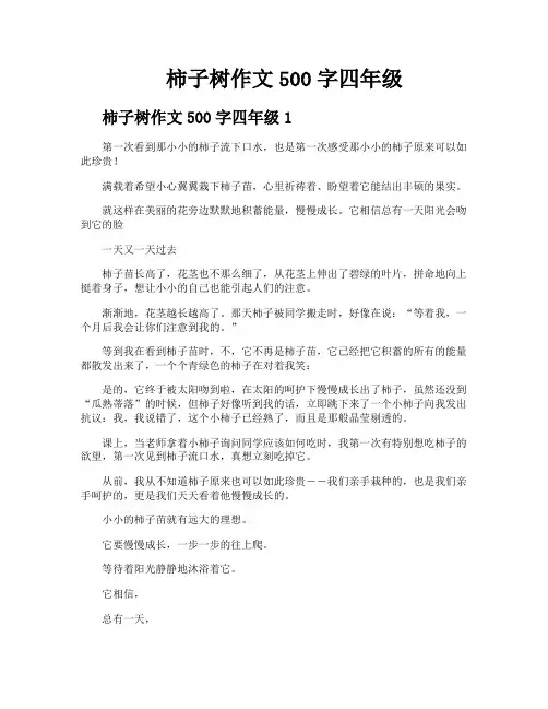 柿子树作文500字四年级