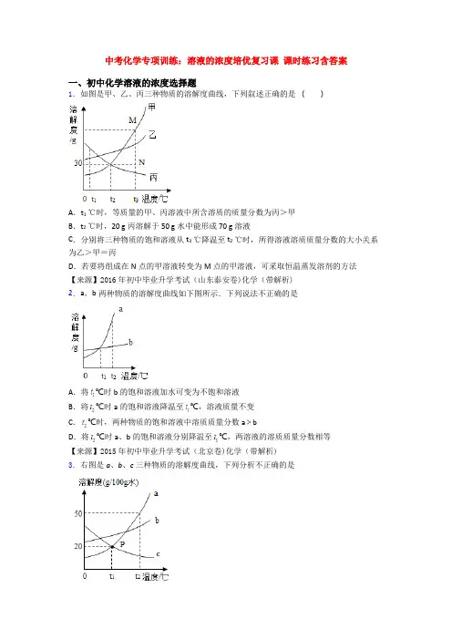 中考化学专项训练：溶液的浓度培优复习课 课时练习含答案