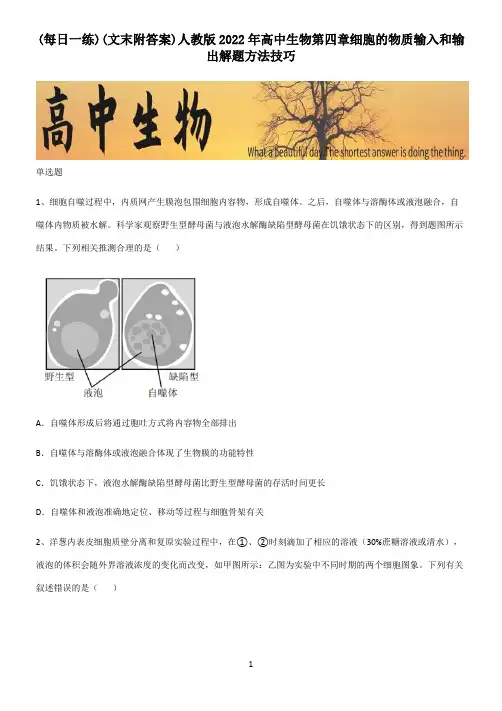 (文末附答案)人教版2022年高中生物第四章细胞的物质输入和输出解题方法技巧