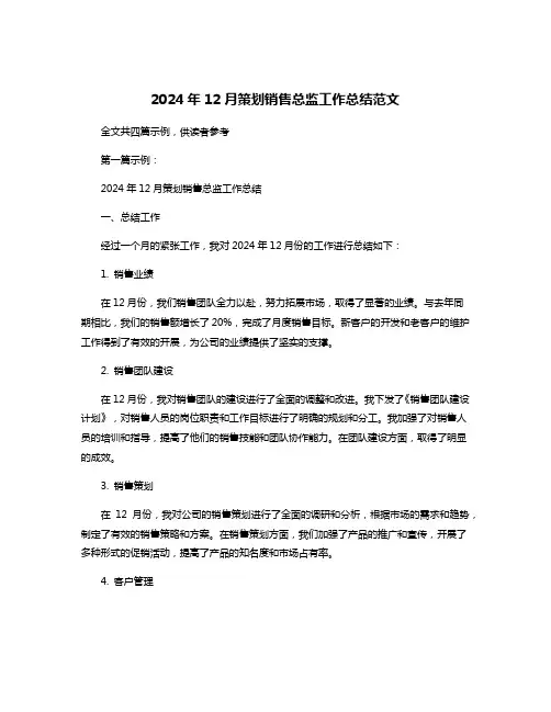 2024年12月策划销售总监工作总结范文