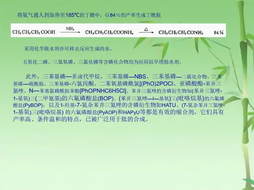高等有机化工工艺学酰胺的合成方法(共31张PPT)