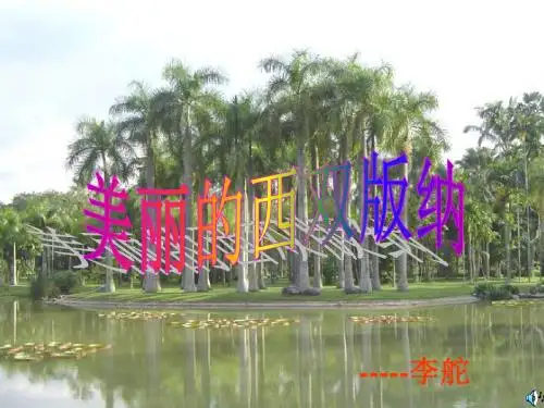 苏教版《美丽的西双版纳》课件精品