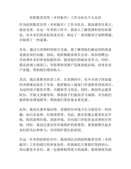 挂职脱贫攻坚(乡村振兴)工作分队长个人总结