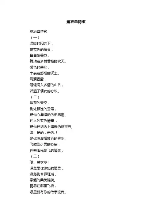 薰衣草诗歌
