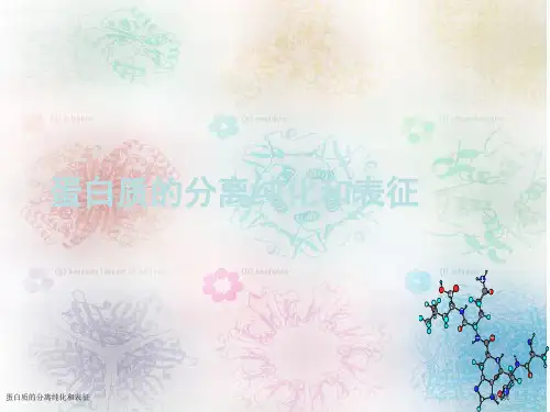 蛋白质的分离纯化和表征