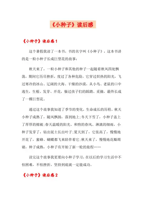《小种子》读后感 