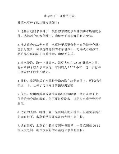 水草种子正确种植方法