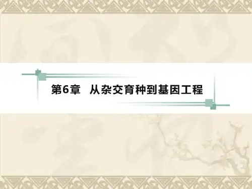 高考生物一轮复习 第六章 第1、2节杂交育种与诱变育种基因工程及其应用课件 新人教版必修2
