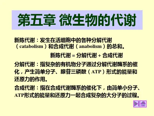 第五章 微生物的代谢