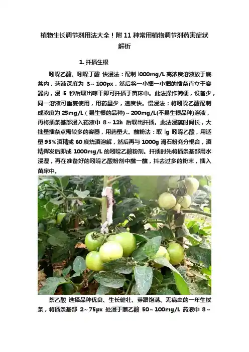 植物生长调节剂用法大全！附11种常用植物调节剂药害症状解析