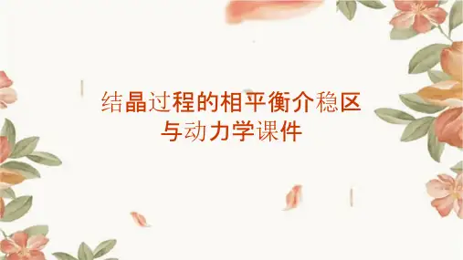 结晶过程的相平衡介稳区与动力学课件