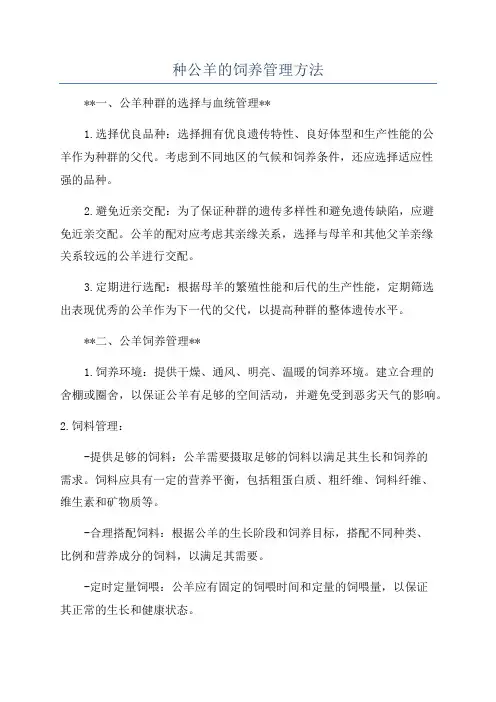 种公羊的饲养管理方法