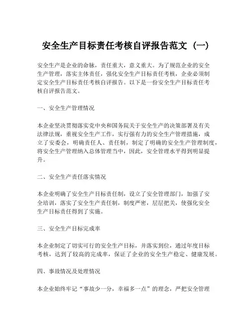 安全生产目标责任考核自评报告范文 (一)