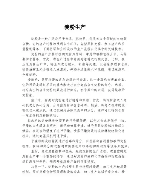 淀粉生产 