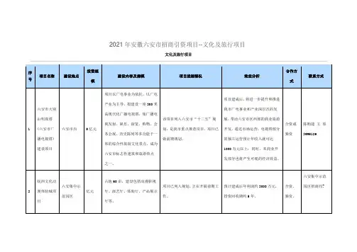 安徽六安市招商引资项目文化及旅行项目