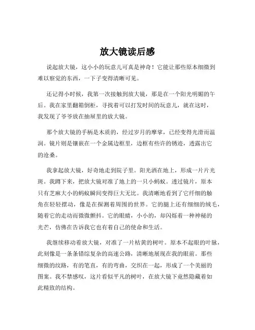 放大镜读后感